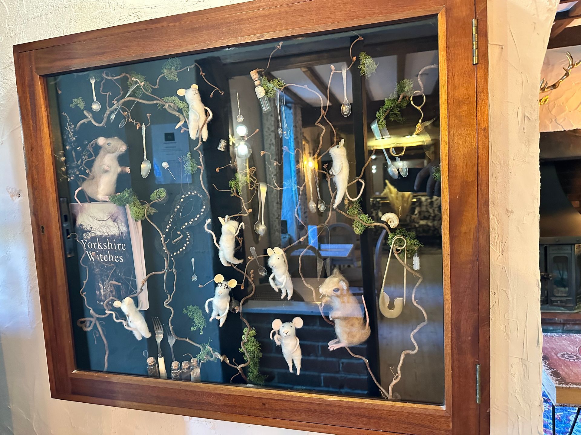 Yorkshire witches display case with hanging preserved specimens and blue-lit background