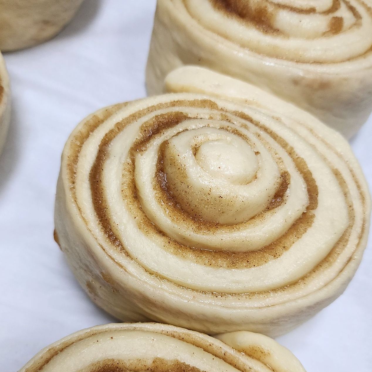 A close up of a cinnamon roll, Land O Lakes, FL