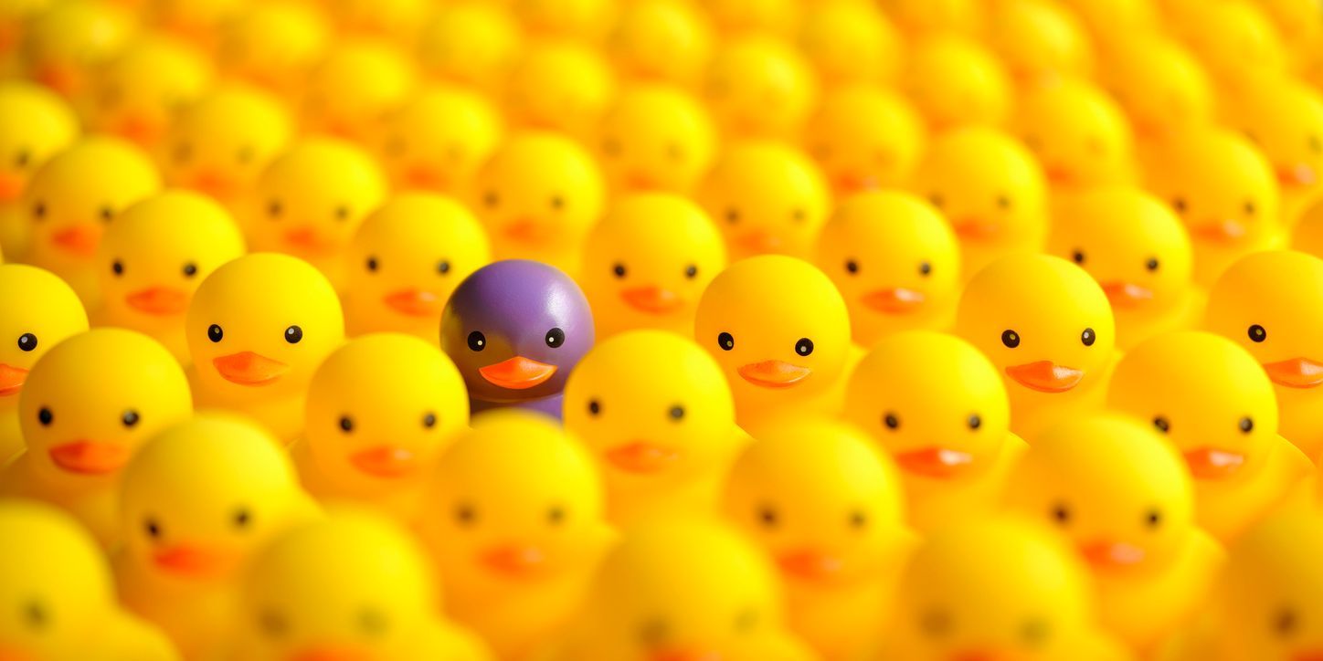 A purple rubber duck stands out among many yellow rubber ducks.