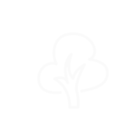 White outline of a tree with a rounded crown and trunk.