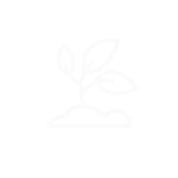 A sprout with three leaves growing from a small mound of earth.