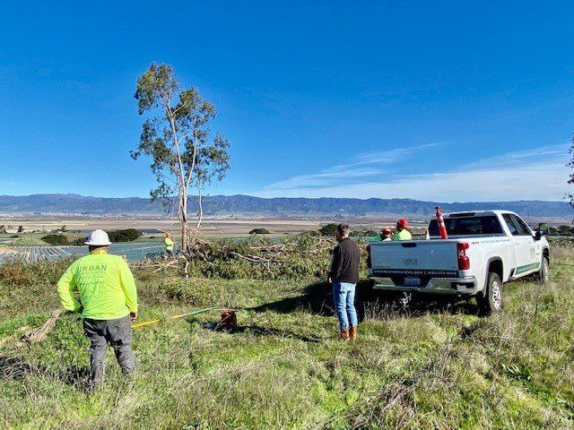 Workers near a truck on a sunny field, with a tree and mountains in the background.
