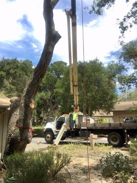 A tree being trimmed by a truck-mounted lift; workers in the lift, suburban setting.