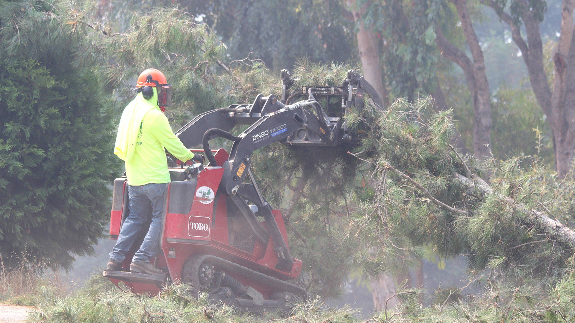 Person operating a small red tracked machine with a claw attachment, moving tree branches. Outdoors, sunny.