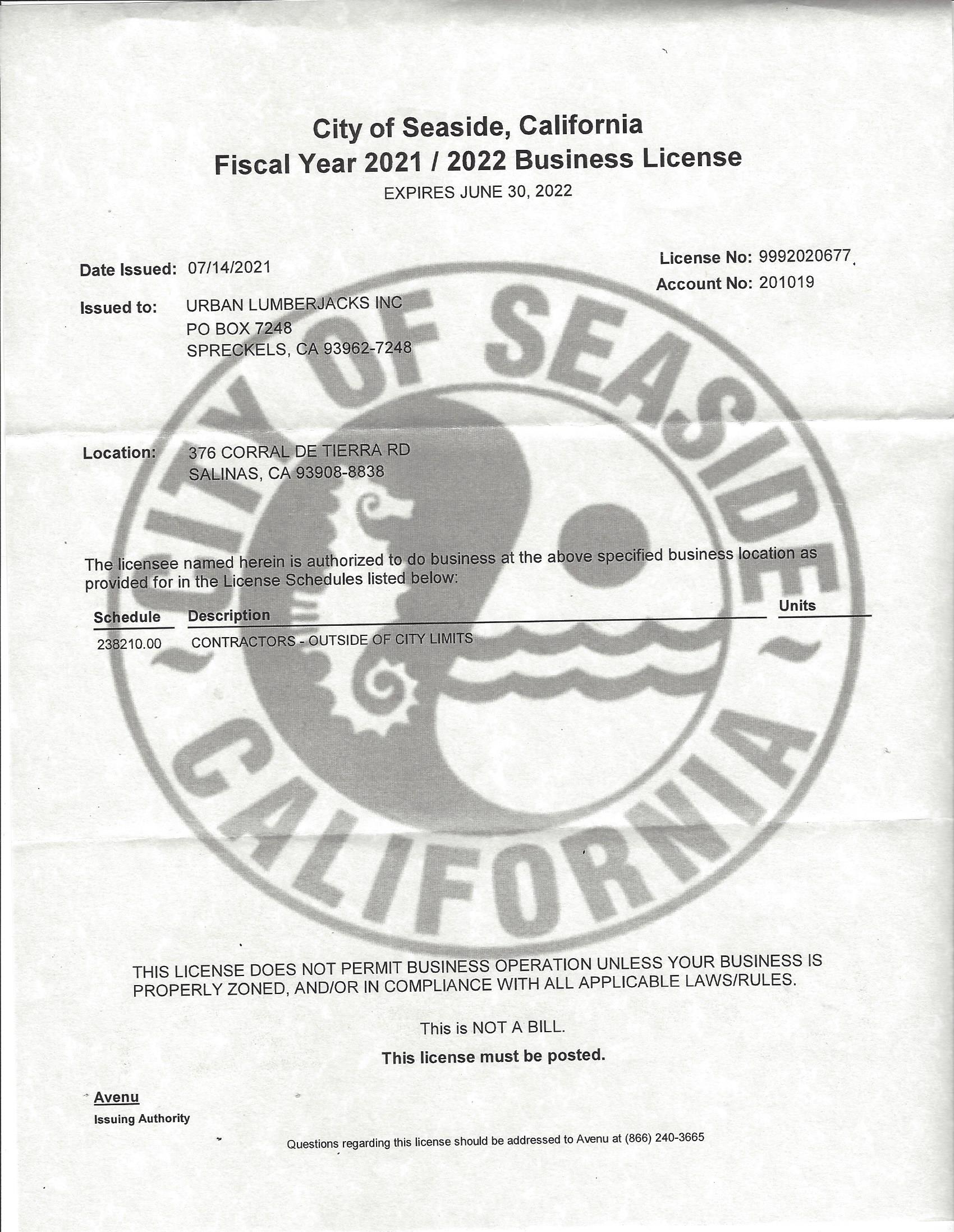 Seaside, California business license, with the city seal and details blurred.