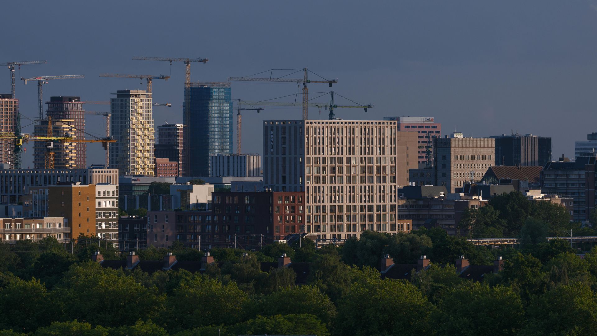 City skyline with tall buildings and construction cranes, viewed over a treeline, under a blue sky.