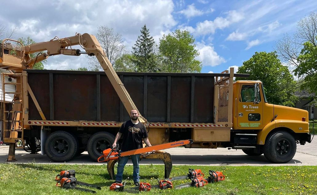 About D's Trees & Property Services LLC
