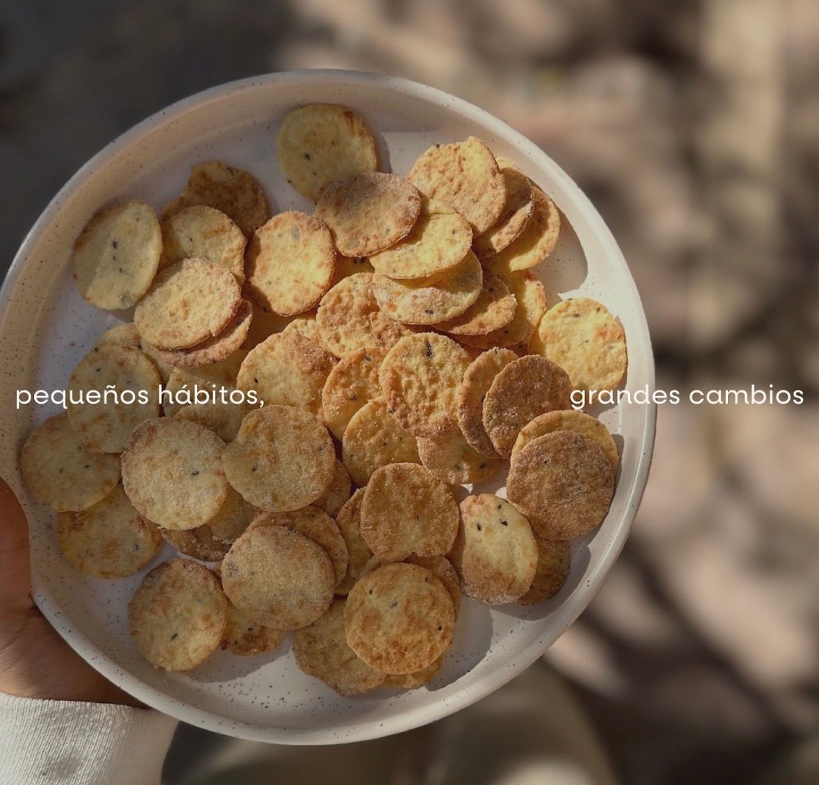 Una mano sosteniendo un plato blanco con galletas pequeñas, redondas y de color marrón dorado; el texto dice