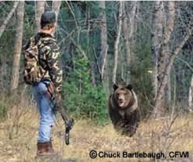 Hunter with rifle faces a brown bear in a forest.