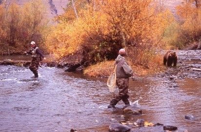 Two fly fishers wade in a river near a bear, surrounded by autumn foliage.
