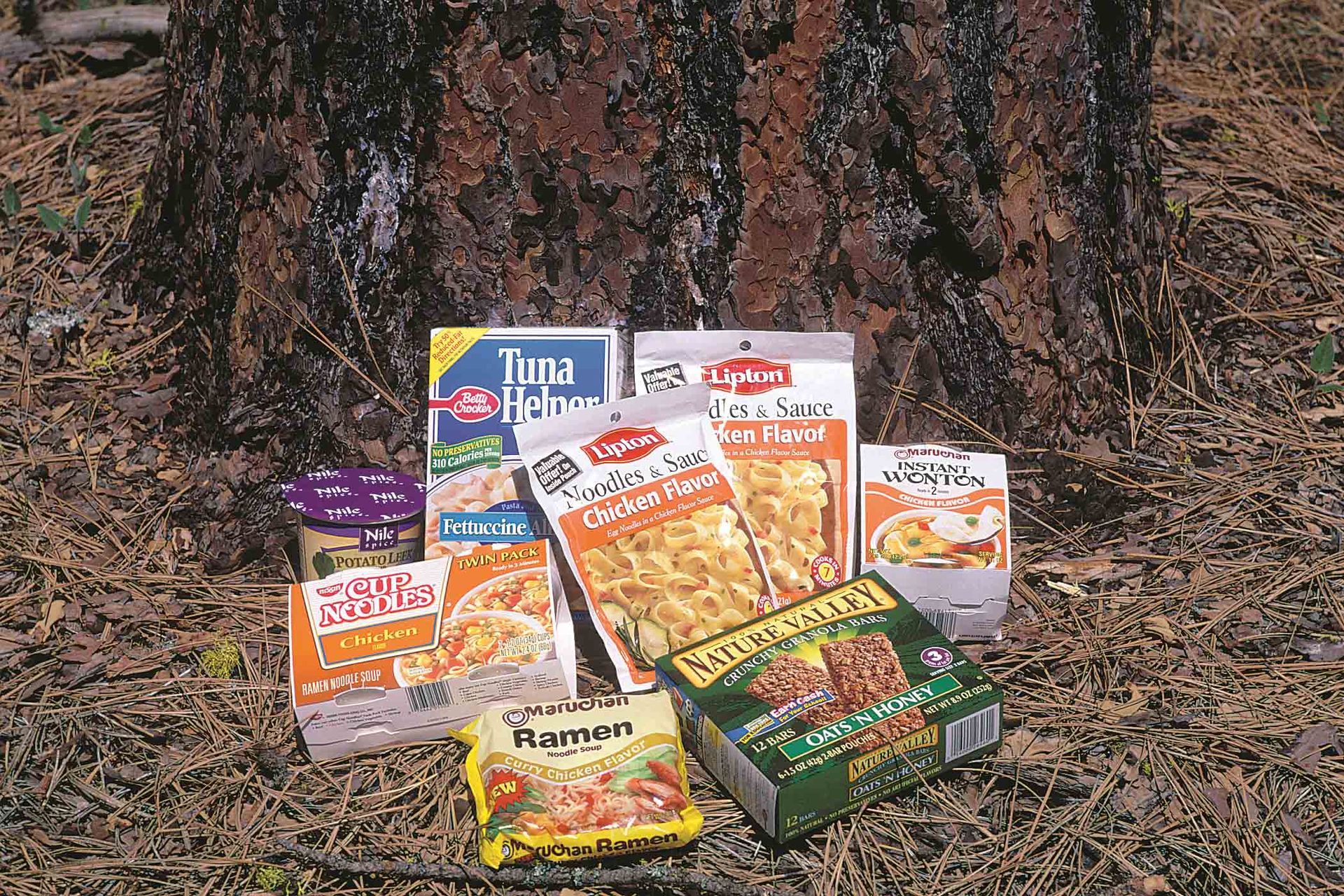 Various food packages scattered on the forest floor near a tree trunk.