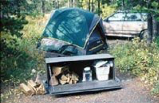 Camping scene: tent, car, and open storage box with firewood and supplies in a wooded area.