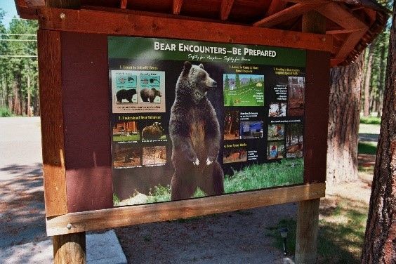 Sign with bear encounter information; brown bear illustration, text and images. Outdoor setting.