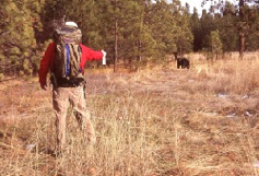 Person backpacking in field faces a black bear; raises a white object in the air.
