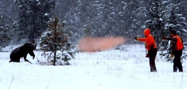 Two people spray bear spray at a bear in a snowy forest.
