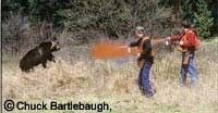 Two people spray bear spray at a charging black bear in a grassy field.