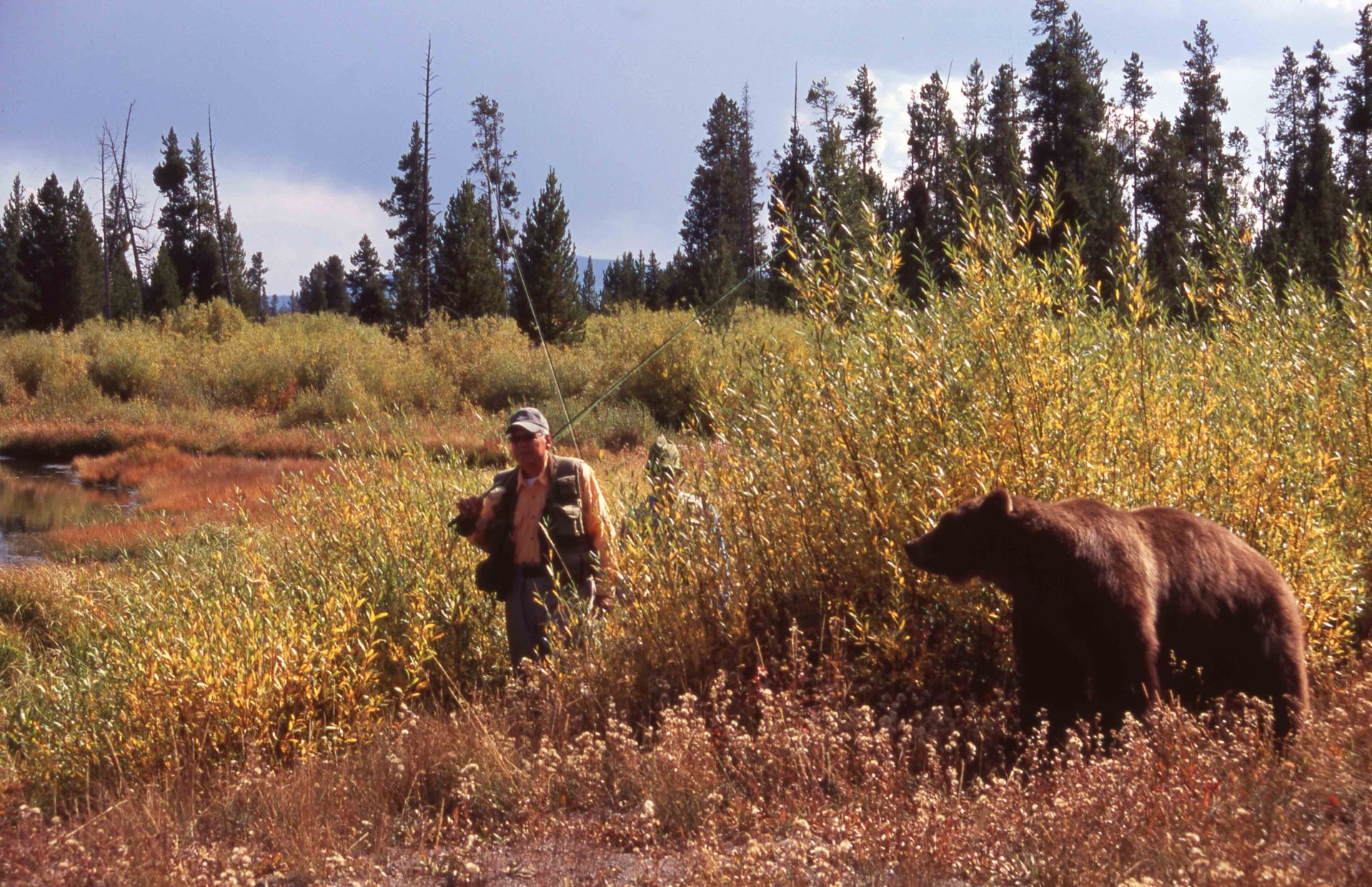 Man stands near a large brown bear in a field with trees.