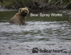 Brown bear in water, text 
