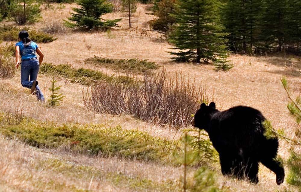 Woman running away from a black bear in a grassy, wooded area.