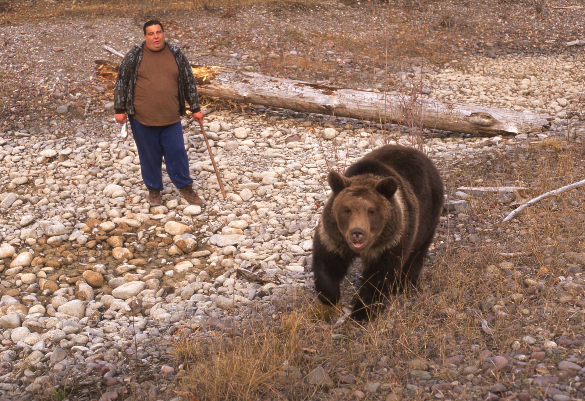 Man stands near a large brown grizzly bear outdoors on a rocky terrain, both facing forward.