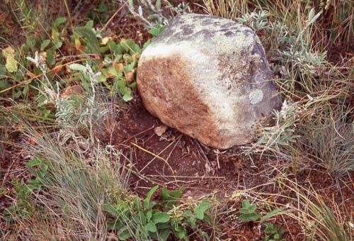 Large, brown and gray rock in a grassy field. A coin sits on the rock's surface.