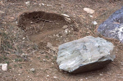 A dug-out hole in dirt and pine needles next to a gray rock.