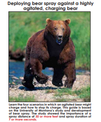 Brown bear charging forward; text about bear spray deployment.