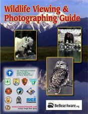 Wildlife Viewing & Photographing Guide: Cover with photos of fox, bear, owl; mountains in background. 