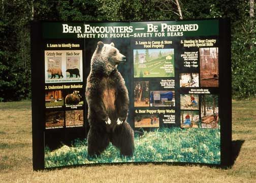 Sign with a standing grizzly bear, detailing bear safety. Includes information on identifying bears and avoiding encounters.