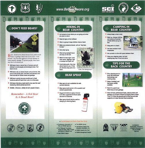 Brochure about bear safety in green and white: Don't feed bears, hiking, and camping in bear country.
