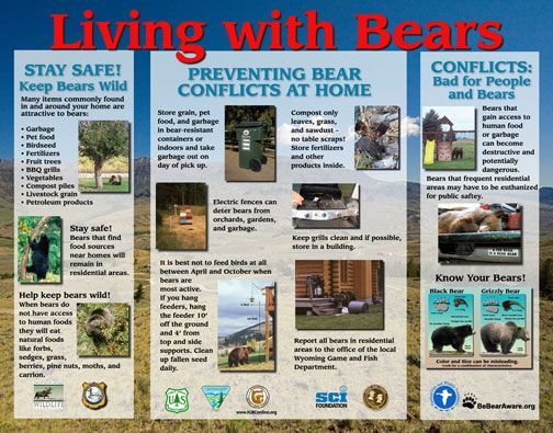 Living with Bears: safety tips to prevent bear conflicts at home, illustrated with photos.