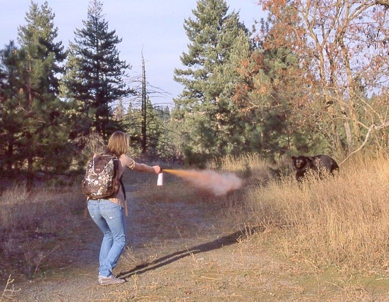 Woman spraying bear repellent at a black bear in a grassy, wooded area.