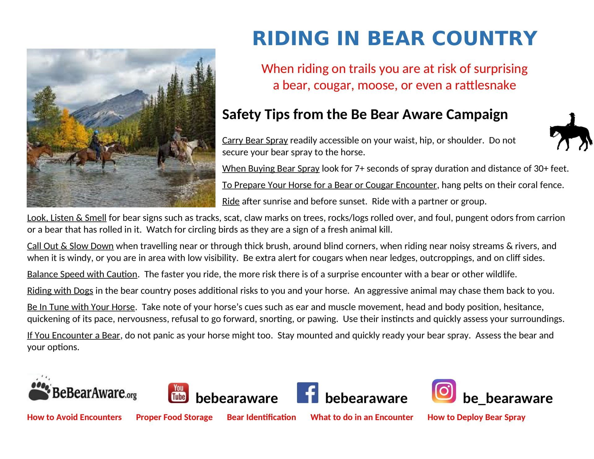 Equestrian Fact Sheet