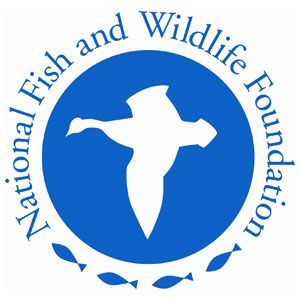 Nat' Fish & Wildlife Foundation