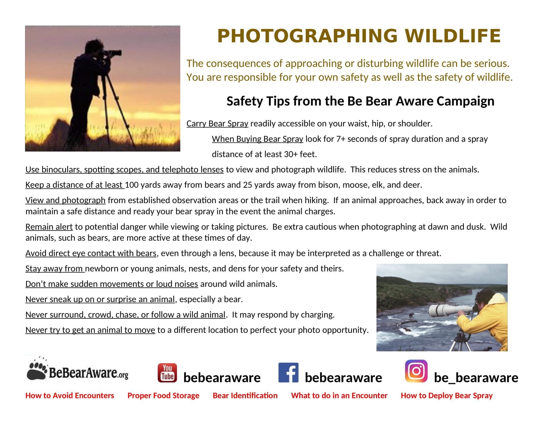 Photographing Wildlife Fact Sheet