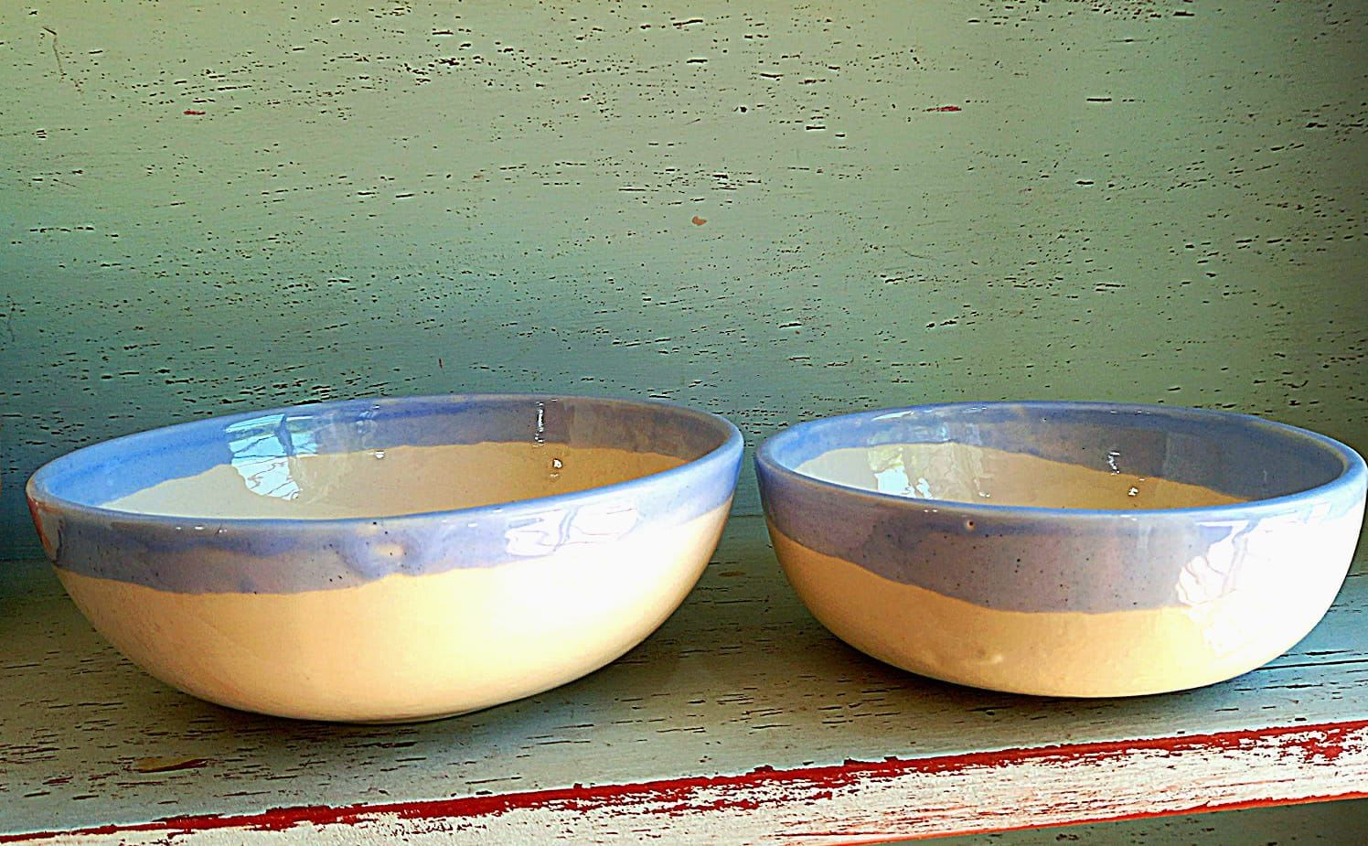 Dos cuencos azules y blancos están sobre un estante.