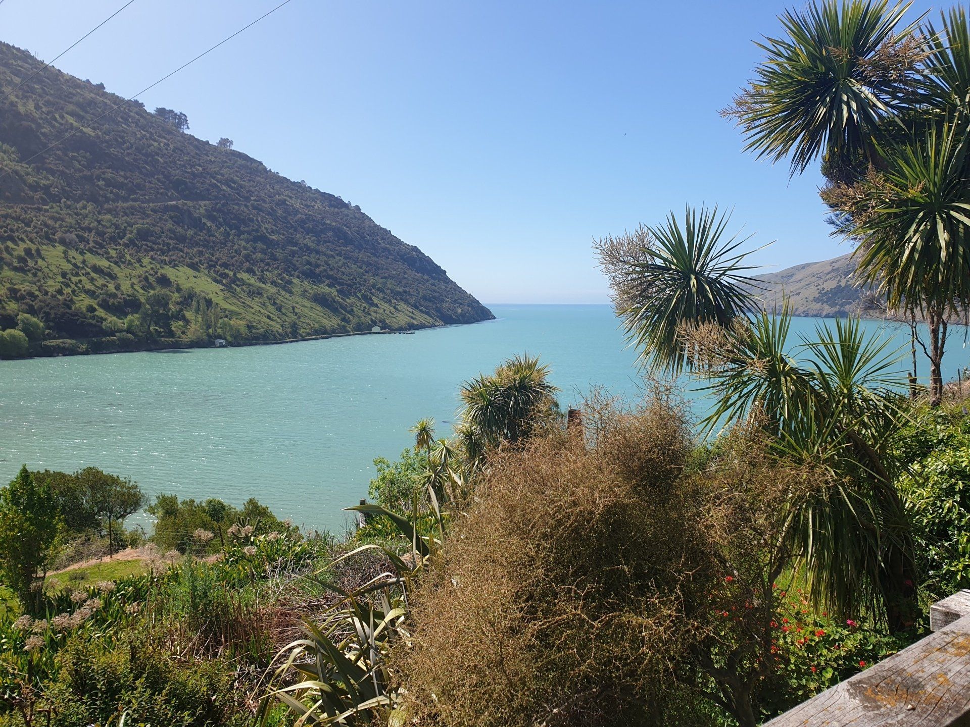 A large body of water surrounded by trees and mountains