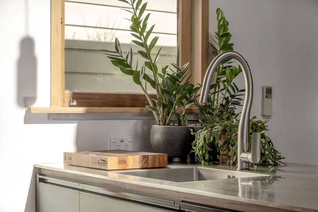 A kitchen sink with a potted plant on top of it.