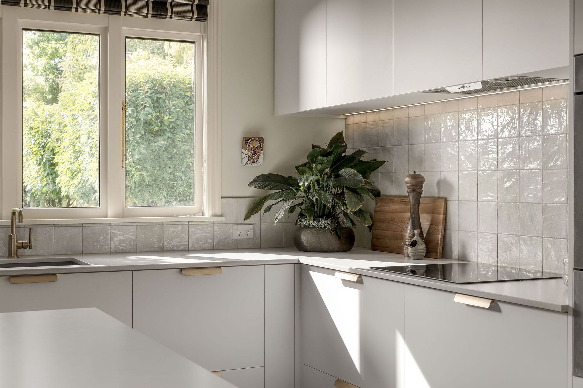 A kitchen with white cabinets and a potted plant on the counter.