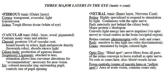 LAB Test 3 Pelvic