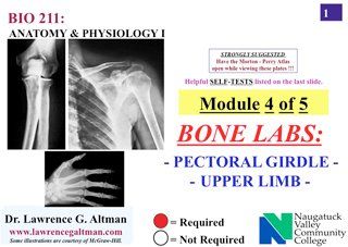 LAB Test 3 Pelvic