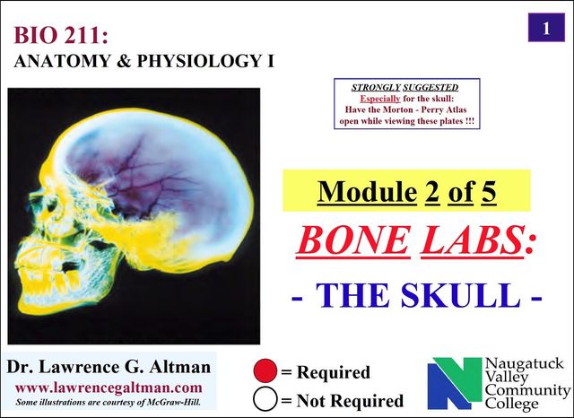 LAB Test 3 Pelvic