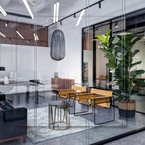 Modern office interior with glass walls, lounge area, and large potted plant.