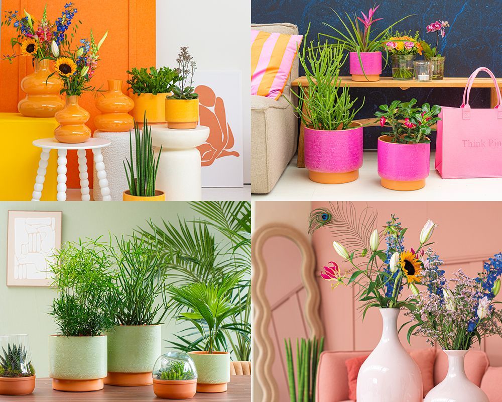 Vier foto's van kamerplanten in kleurrijke potten, met vazen ​​vol bloemen.