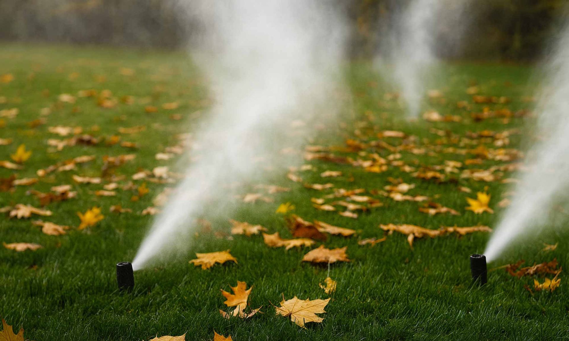 Sprinklers spraying water over green grass with scattered autumn leaves