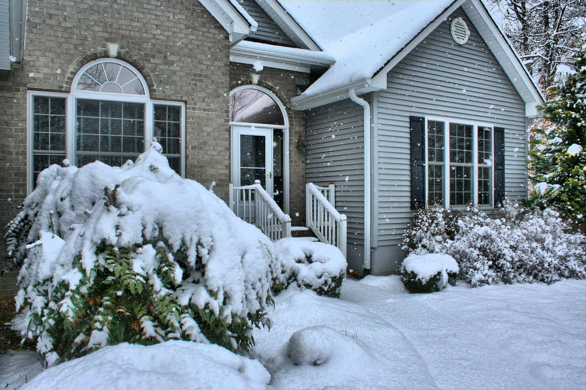 Winter Landscaping and Lawn Care