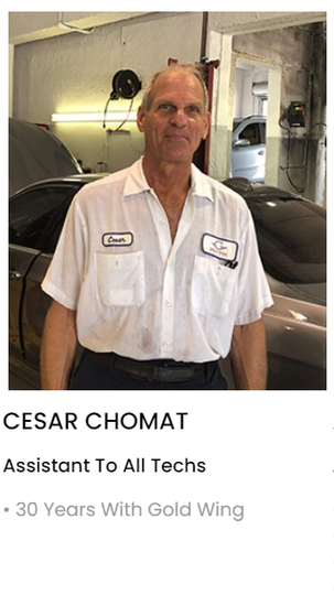 Cesar Chomat | Gold Wing Motors