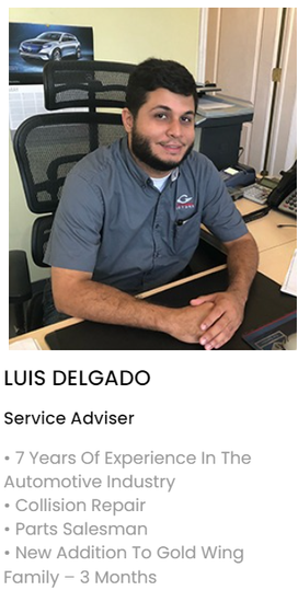 Luis Delgado | Gold Wing Motors