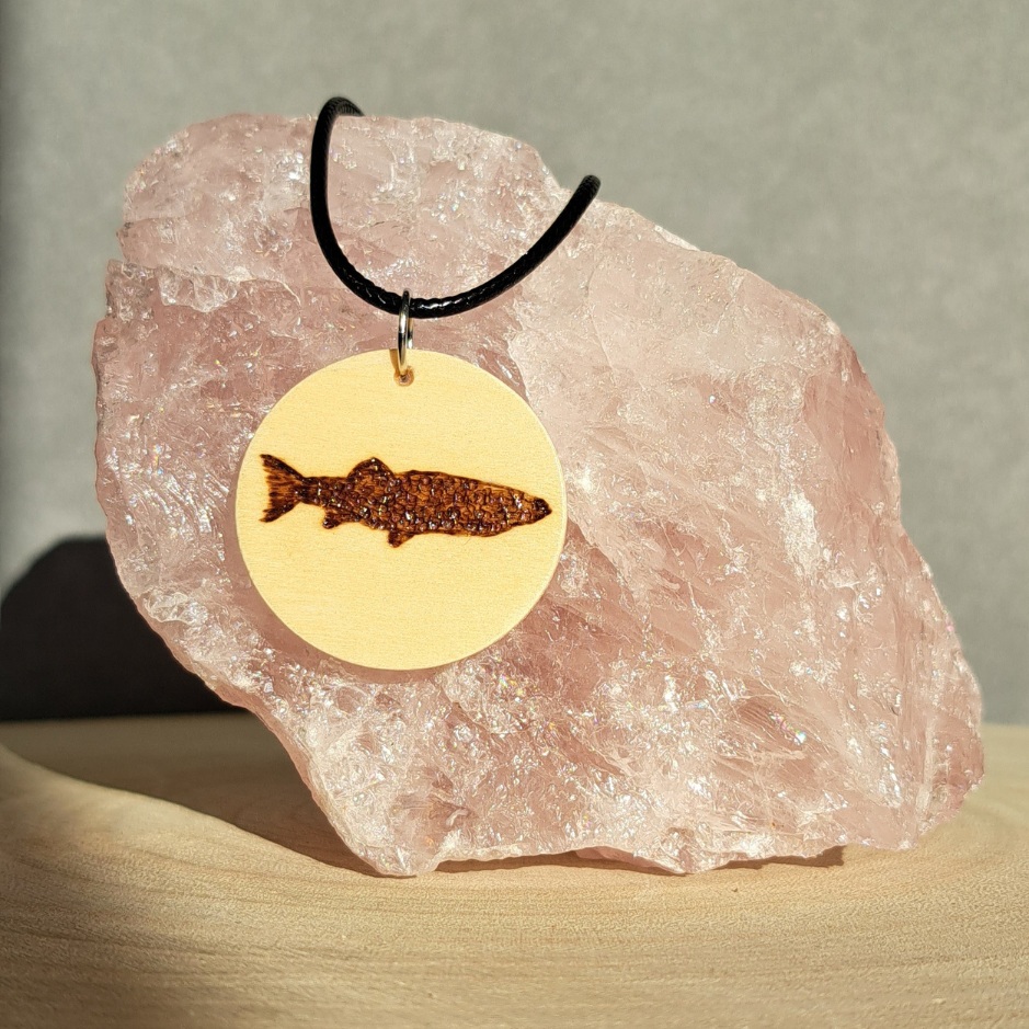Foto hanger Zalm