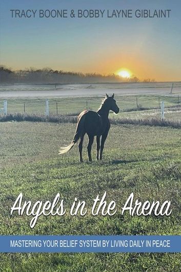 A book cover with a horse in a field at sunrise